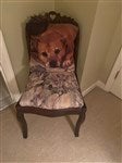 customer testimonial image