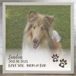 21192 - Pet Photo Memorial Personalized LED Shadow Box