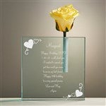 customer testimonial image