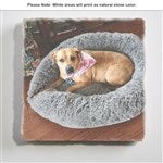 customer testimonial image