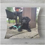 customer testimonial image