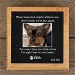 41633 - Pet Memorial Personalized Pet Urn