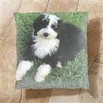 customer testimonial image