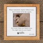 41633 - Pet Memorial Personalized Pet Urn