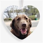 customer testimonial image