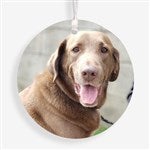 customer testimonial image