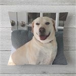 customer testimonial image