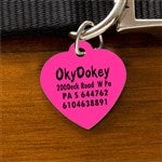 customer testimonial image