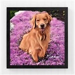 47419 - Cartoon Your Pet Portrait Personalized Photo Canvas