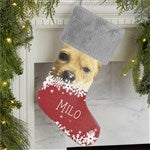 customer testimonial image