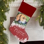 customer testimonial image