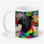 customer testimonial image