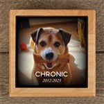 customer testimonial image