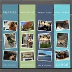 customer testimonial image