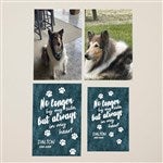 customer testimonial image