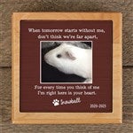 41633 - Pet Memorial Personalized Pet Urn