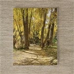 customer testimonial image