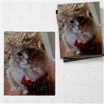 customer testimonial image