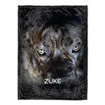 customer testimonial image