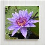 customer testimonial image