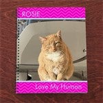 13229 - Photo Excitement Personalized Large Notebooks-Set of 2