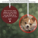 customer testimonial image