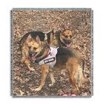 customer testimonial image