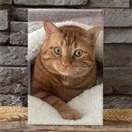 customer testimonial image