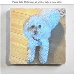 customer testimonial image