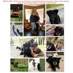 customer testimonial image