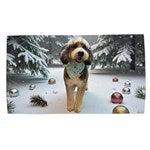 customer testimonial image