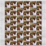 customer testimonial image