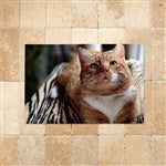 customer testimonial image