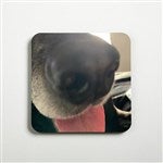 customer testimonial image