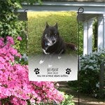 customer testimonial image