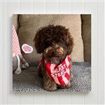 customer testimonial image