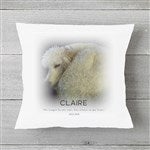 customer testimonial image