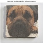 customer testimonial image