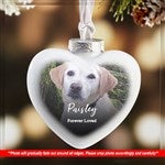 customer testimonial image