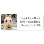 customer testimonial image