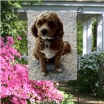 customer testimonial image