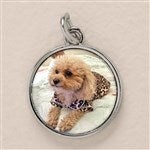 customer testimonial image