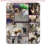 customer testimonial image