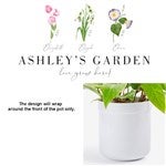 customer testimonial image