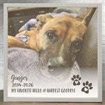 21192 - Pet Photo Memorial Personalized LED Shadow Box