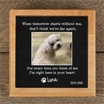 41633 - Pet Memorial Personalized Pet Urn