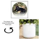 customer testimonial image