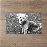 customer testimonial image