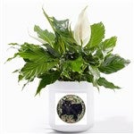 51583 - Your Own Photo Personalized Outdoor Flower Pot