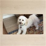 customer testimonial image